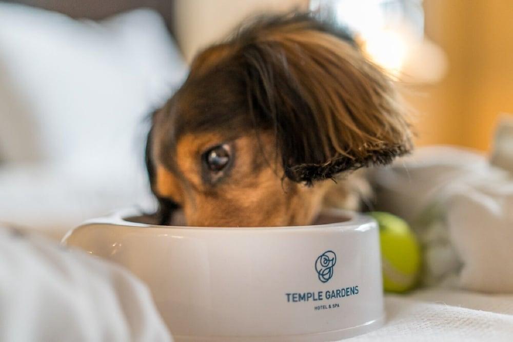 Temple Gardens Hotel & Spa Moose Jaw Eksteriør bilde
